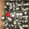 carbon steel forged fittings