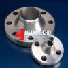hastelloy flanges