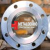 nickel 200 flanges 1