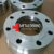 stainless steel 904l flanges